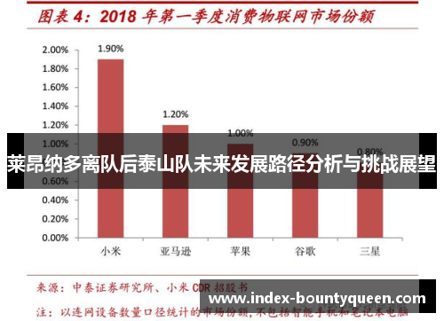 莱昂纳多离队后泰山队未来发展路径分析与挑战展望