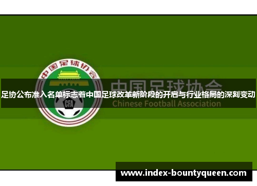 足协公布准入名单标志着中国足球改革新阶段的开启与行业格局的深刻变动